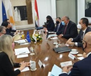 جلسة مشاورات مشتركة بين وفدى مصر وقبرص على مستوى وزيرى الخارجية