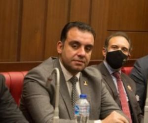 محمد السباعي عضو تنسيقية شباب الأحزاب " بالشيوخ" : ما هي خطة الحكومة للحفاظ على السواحل المصرية ؟