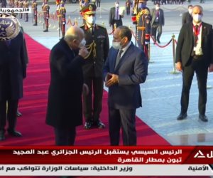 الرئيس السيسي يستقبل نظيره الجزائري عبد المجيد تبون فور وصوله القاهرة