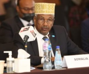 نائب وزير خارجية الصومال يشيد بالدعم المصري الكبير لبلاده