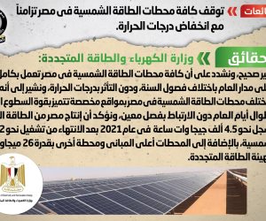 الحكومة تنفى توقف محطات الطاقة الشمسية في مصر تزامنا مع انخفاض درجات الحرارة