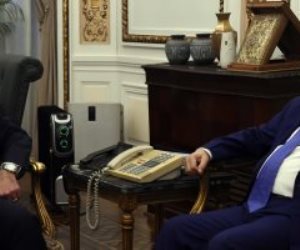رئيس الوزراء يلتقى رئيس شركة "أميا" الإماراتية للطاقة