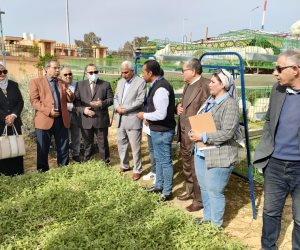 مجانا لإعادة إعمار أراضيهم.. الدولة تدعم مزارعي الشيخ زويد بشتلات اللوز والزيتون والمرمرية
