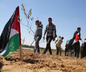 يوم الأرض الفلسطيني.. ذكرى خالدة في أذهان العرب 