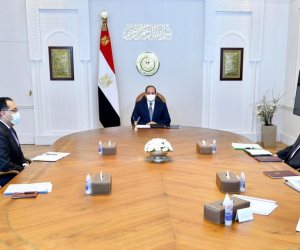 الرئيس السيسي يوجه بإعداد تقييم دقيق ومتكامل لتجربة زراعة القطن قصير التيلة في مصر