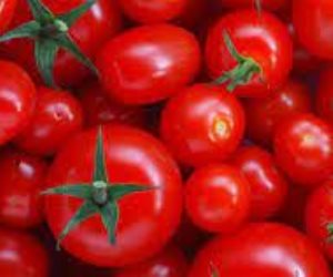 "المجنونة هتعقل"... خبير زراعي عن ارتفاع أسعار الطماطم: التغيرات المناخية السبب وانخفاض خلال أسبوعين 