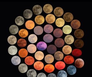 " الأرصاد الجوية"  تفسر أسباب تعدد لون القمر                                         