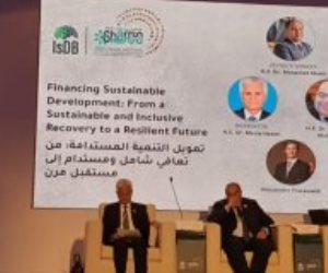 وزير المالية: مصر صوت أفريقيا فى قمة المناخ.. ومؤتمر سبتمبر لبلورة رؤية موحدة