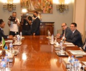 وزير الخارجية يجرى جلسة مباحثات موسعة مع وزيرة خارجية تنزانيا