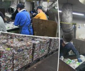حظر خلط القمامة.. ما هي ضوابط إعادة معالجة المخلفات للحفاظ على البيئة؟