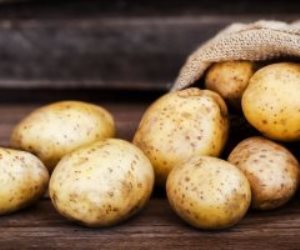 58.2 مليون دولار صادرات مصر من البطاطس خلال شهر واحد فقط