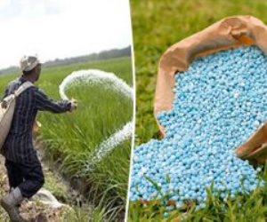 7 محاور لتطوير صناعة الأسمدة وتحقيق حلم الـ100 مليار دولار صادرات لأوربا