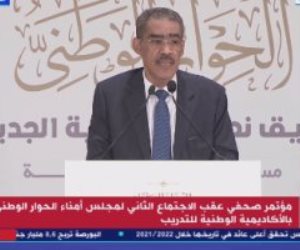 ضياء رشوان: شكلنا لجنتين لوضع مقترحات للمحورين "الاجتماعى والاقتصادى"