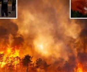 شاهد كيف أصبحت إسبانيا الأكثر تضررا من حرائق الغابات فى أوروبا بسبب موجة الحر