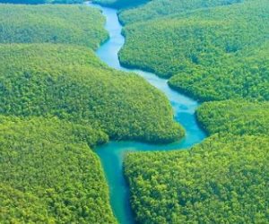 رئيس كولومبيا: البشر ينقرضون خلال قرنين حال عدم حماية «الأمازون»
