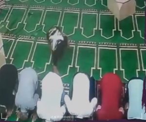 ضبط المتهم بسرقة محمول من مصلى داخل مسجد بالقليوبية أثناء الصلاة (صور)