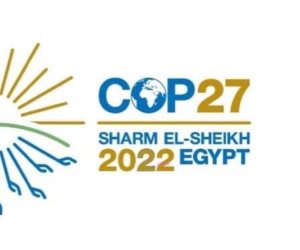 الرئاسة المصرية لقمة cop27: نحن صوت أفريقيا وهدفنا الأفعال وليس الأقوال