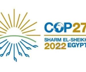 حزب الخضر المصرى يعد قائمة مشروعات لعرضها على cop27 بشرم الشيخ ويؤكد: سنشارك لدعم الدولة
