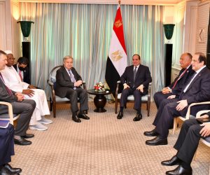 الرئيس السيسى لـ"جوتيريش": مصر تعمل على تبنى رؤية شاملة لاحتياجات الدول النامية