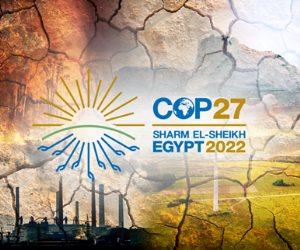 الإمارات: نتمنى لمصر الشقيقة كل النجاح وتحقيق نتائج مثمرة في COP27