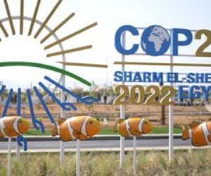 قمة المناخ cop27.. الانتقال من مرحلة التعهدات إلى المسئوليات بالأرقام