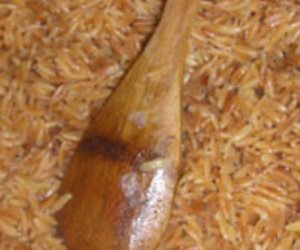 «تناولها باعتدال» لسان العصفور تقلل أمراض القلب