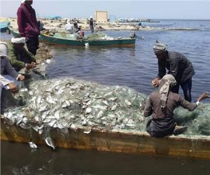 الأمن الغذائي بخير.. مبادرة «سيناء البردويل» تزيد انتاج بحيرة البردويل من الأسماك الفاخرة لـ50 ألف طن سنويا
