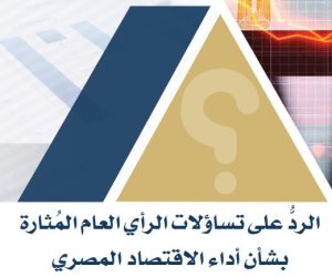 الحكومة تجيب على أخطر الأسئلة.. تقرير حكومي مفصل يفند التساؤلات وينسف الشائعات
