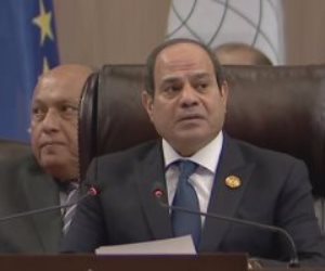 الرئيس السيسي: مصر تؤكد على رفضها أي تدخلات خارجية فى شئون العراق