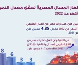 معلومات الوزراء: صادرات الغاز تحقق النمو الأعلى عربيا خلال أول 9 أشهر من 2022