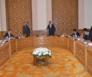 شكري: الرئيس السيسي بحث مع وزير خارجية الصين تعزيز علاقات التعاون الثنائي