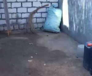 عاشت 30 سنة من غير فرش.. "حياة كريمة" تجدد منزل "صابرين"