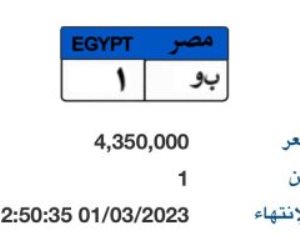 متزايد واحد على أغلى لوحة سيارة بمزاد إلكترونى.. سعرها 4.4 مليون جنيه