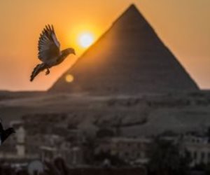 موقع ذا بانكر: مصر وجهة استثمار رئيسية في أفريقيا والشرق الأوسط