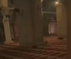ليلة دامية داخل المسجد الأقصى.. قوات الاحتلال ارتكبت انتهاكات بالجملة ضد المصلين والمعتكفين