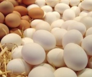 وزارة الزراعة تطرح بيضا بأسعار مخفضة فى منافذها بمحافظات الجمهورية