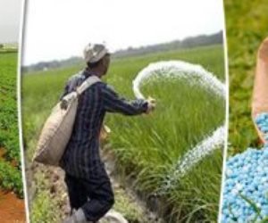 "أبو قير للأسمدة" تسدد 197 مليون دولار قيمة مسحوبات الغاز لشركة بتروتريد