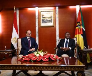 الرئيس السيسي ونظيره الموزمبيقي يتفقان على تكثيف التشاور السياسي والتعاون بين البلدين (صور)
