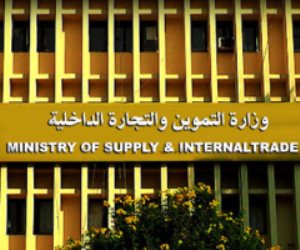 الحكومة: لا صحة لتعثر مصر فى سداد مدفوعات وارداتها من القمح المستورد
