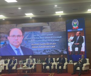 السفير أحمد أبو زيد: جهود استقرار مصر بعد 30 يونيو محل تقدير دولي 