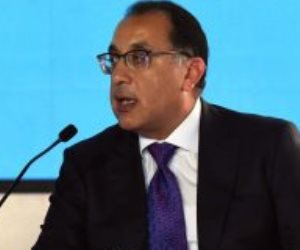 مصر تؤكد دعمها القوى لمواصلة الجهد الإفريقى لتسوية الأزمة الروسية الأوكرانية
