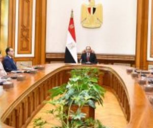 الرئيس السيسى يبحث مع رؤساء شركات التعدين الإيطالية تعظيم الاستفادة من الثروات المعدنية بمصر.. ويؤكد الاهتمام بجذب الاستثمارات الإيطالية