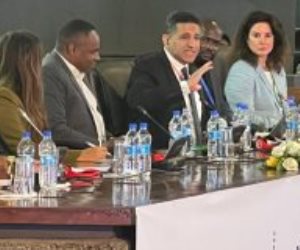 عمرو الجويلى يعرض ملامح التجارة الرقمية القارية أمام منتدى القطاع الخاص الأفريقي