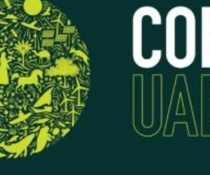 العراق: بدء الاستعدادات للمشاركة فى فعاليات مؤتمر "COP 28" بالإمارات