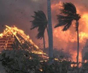 ارتفاع عدد ضحايا حرائق الغابات في هاواى الأمريكية إلى 93 قتيلا