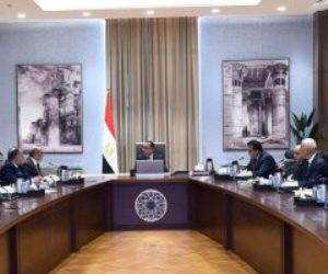 الحكومة: انتخابات الرئاسة بالخارج ستجرى فى 138 لجنة بمقار البعثات الدبلوماسية