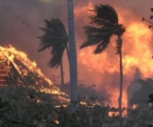 السلطات الأمريكية: 97 قتيلا حصيلة ضحايا حرائق جزيرة "هاواي"