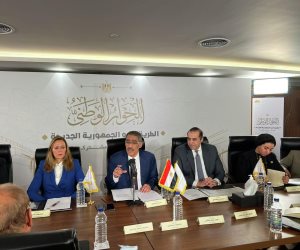 العبور الآمن من الفوضى إلى الاستقرار في 10 سنوات: جبهة داخلية قوية (1)