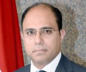 متحدث وزارة الخارجية : البعثات المصرية بالخارج بمثابة لجان انتخابية