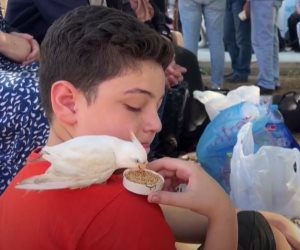 القاهرة الإخبارية تعرض تقريرا لطفل فلسطيني يطعم عصفوره رغم وجوده بملجأ هربا من قصف الاحتلال (فيديو)